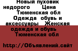 Новый пуховик недорого!!! › Цена ­ 1 500 - Тюменская обл. Одежда, обувь и аксессуары » Женская одежда и обувь   . Тюменская обл.